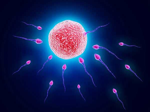 精子分离术是什么