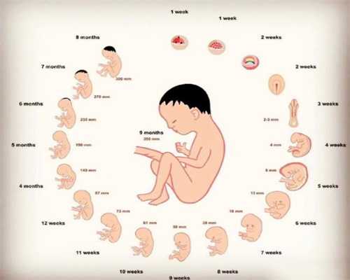想让肚子里的宝宝更健康，备孕时你就得这么做