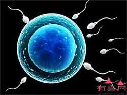 深圳代孕网哪家机构好_孕妇三个月没做产检有影响吗
