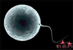 深圳代孕去做泰国试管婴儿需要做宫腔镜检查吗？
