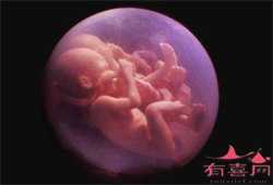 神州中泰代孕微信_上海捐卵代怀孕_哪里有代孕女