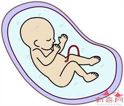 神州中泰代孕中介_代孕网哪家机构好_代怀孕一个孩子多少钱