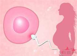 深圳代孕中心--代孕妈妈_深圳可以找代孕的吗_代孕男宝宝_女人必看：导致不孕